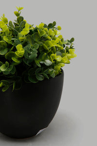 Redtag-Artificial-Plant-in-Black-Ceramic-Pot-Artificial-Plants-Home-Decor-