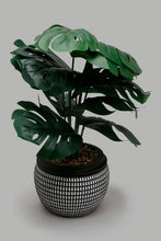 تنزيل الصورة على معرض الصور، Redtag-Artificial-Plant-in-Black-Pattern-Ceramic-Pot-Artificial-Plants-Home-Decor-
