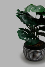 تنزيل الصورة على معرض الصور، Redtag-Artificial-Plant-in-Black-Pattern-Ceramic-Pot-Artificial-Plants-Home-Decor-
