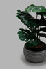 Redtag-Artificial-Plant-in-Black-Pattern-Ceramic-Pot-Artificial-Plants-Home-Decor-