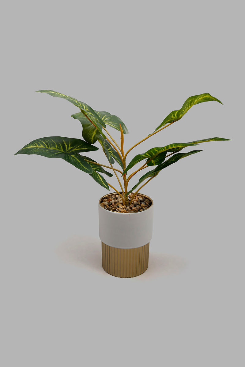 Redtag-Artificial-Plant-in-White-&Gold-Ceramic-Pot-Artificial-Plants-Home-Decor-