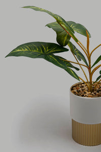 Redtag-Artificial-Plant-in-White-&Gold-Ceramic-Pot-Artificial-Plants-Home-Decor-