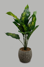 تنزيل الصورة على معرض الصور، Redtag-Artificial-Plant-in-Beige-Ceramic-Pot-Artificial-Plants-Home-Decor-
