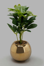 تنزيل الصورة على معرض الصور، Redtag-Artificial-Plant-in-Gold-Ceramic-Pot-Artificial-Plants-Home-Decor-
