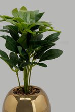 تنزيل الصورة على معرض الصور، Redtag-Artificial-Plant-in-Gold-Ceramic-Pot-Artificial-Plants-Home-Decor-
