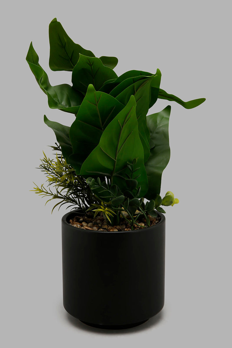 Redtag-Artificial-Plant-in-Brown-Ceramic-Pot-Artificial-Plants-Home-Decor-