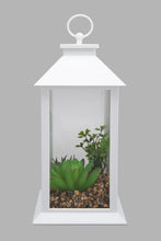 Load image into Gallery viewer, Redtag-White-Decorative-Lantern-with-Artificial-Succulent(Gift-Set)-Gift-Sets-Home-Decor-
