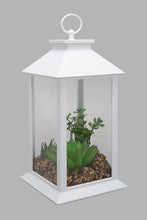 Load image into Gallery viewer, Redtag-White-Decorative-Lantern-with-Artificial-Succulent(Gift-Set)-Gift-Sets-Home-Decor-
