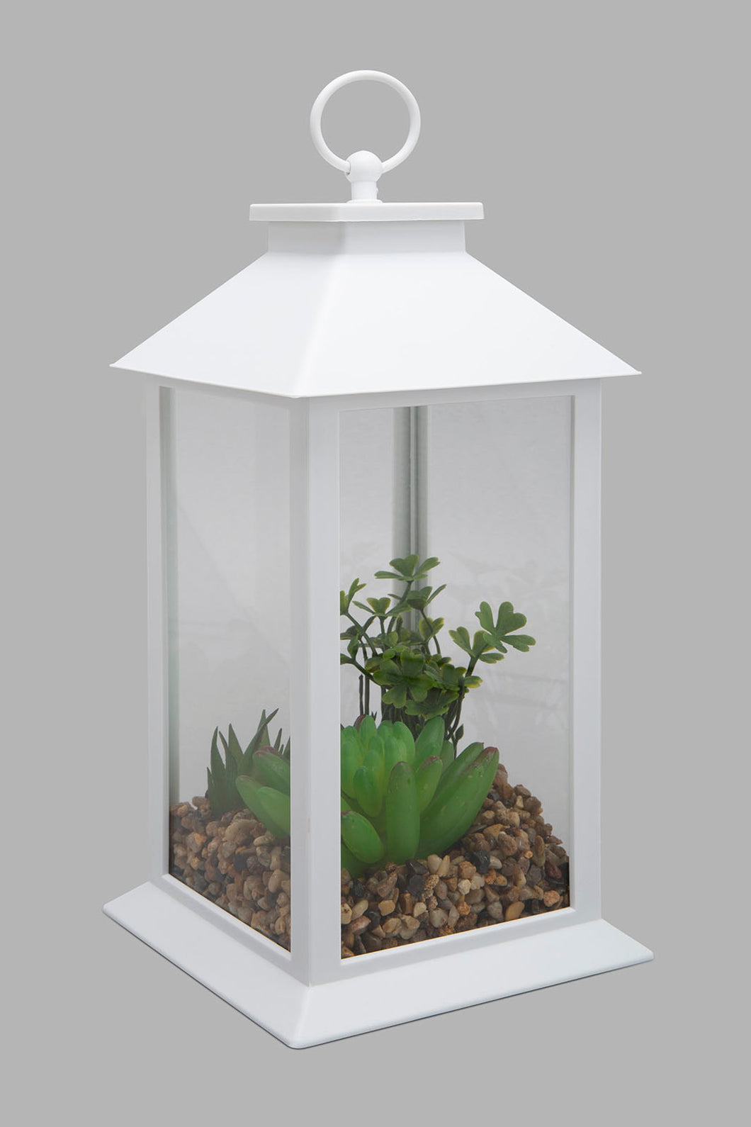 Redtag-White-Decorative-Lantern-with-Artificial-Succulent(Gift-Set)-Gift-Sets-Home-Decor-