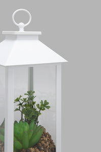 Redtag-White-Decorative-Lantern-with-Artificial-Succulent(Gift-Set)-Gift-Sets-Home-Decor-