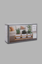 تنزيل الصورة على معرض الصور، Redtag-White-Set-of-3-Artificial-Succulent-(Gift-Set)-Gift-Sets-Home-Decor-
