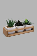 تنزيل الصورة على معرض الصور، Redtag-White-Set-of-3-Artificial-Succulent-(Gift-Set)-Gift-Sets-Home-Decor-
