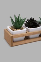 تنزيل الصورة على معرض الصور، Redtag-White-Set-of-3-Artificial-Succulent-(Gift-Set)-Gift-Sets-Home-Decor-
