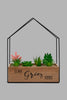 Redtag-Brown-Decorative-Artificial-Succulent-(Gift-Set)-Gift-Sets-Home-Decor-