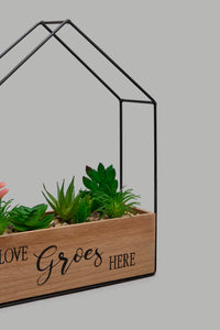 Redtag-Brown-Decorative-Artificial-Succulent-(Gift-Set)-Gift-Sets-Home-Decor-