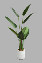 تنزيل الصورة على معرض الصور، Redtag-Artificial-Banana-Plant-In-Magnesium-White-Pot-Artificial-Plants-Home-Decor-
