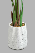 تنزيل الصورة على معرض الصور، Redtag-Artificial-Banana-Plant-In-Magnesium-White-Pot-Artificial-Plants-Home-Decor-
