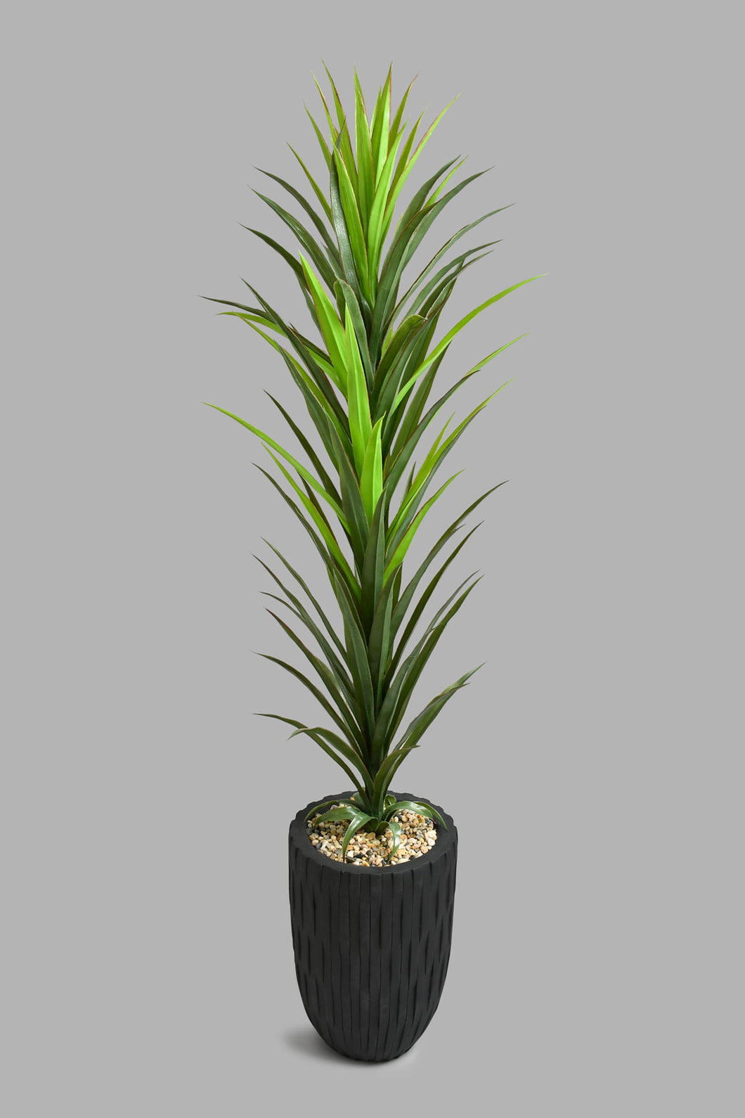 Redtag-Artificial-Plant-In-Magnesium-Black-Pot-Artificial-Plants-Home-Decor-