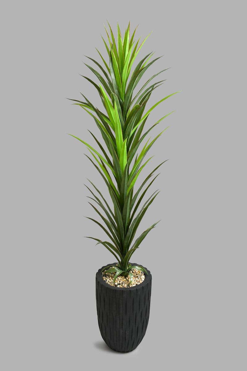 Redtag-Artificial-Plant-In-Magnesium-Black-Pot-Artificial-Plants-Home-Decor-