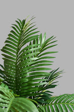 تنزيل الصورة على معرض الصور، Redtag-Artificial-Plant-In-Magnesium-Brown-Pot-Artificial-Plants-Home-Decor-
