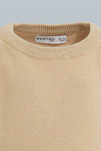 Redtag-Beige-Solid-Pullover-Pullovers-Infant-Boys-3 to 24 Months