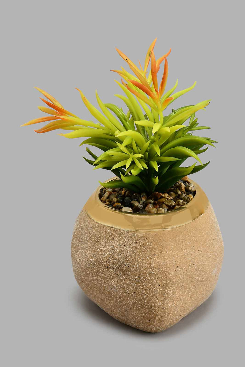 Redtag-Beige-Ceramic-Pot-With-Artificial-Plant-Colour:Beige,-Filter:Home-Decor,-HMW-HOM-Plants-&-Flowers,-New-In,-New-In-HMW-HOM,-Non-Sale,-S22A,-Section:Homewares-Home-Decor-