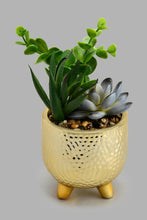 تنزيل الصورة على معرض الصور، Redtag-Gold-Ceramic-Pot-With-Artificial-Plant-Colour:Gold,-Filter:Home-Decor,-HMW-HOM-Plants-&amp;-Flowers,-New-In,-New-In-HMW-HOM,-Non-Sale,-S22A,-Section:Homewares-Home-Decor-
