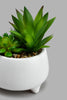 Redtag-White-Ceramic-Pot-With-Green-Artificial-Plant-Colour:White,-Filter:Home-Decor,-HMW-HOM-Plants-&-Flowers,-New-In,-New-In-HMW-HOM,-Non-Sale,-S22A,-Section:Homewares-Home-Decor-