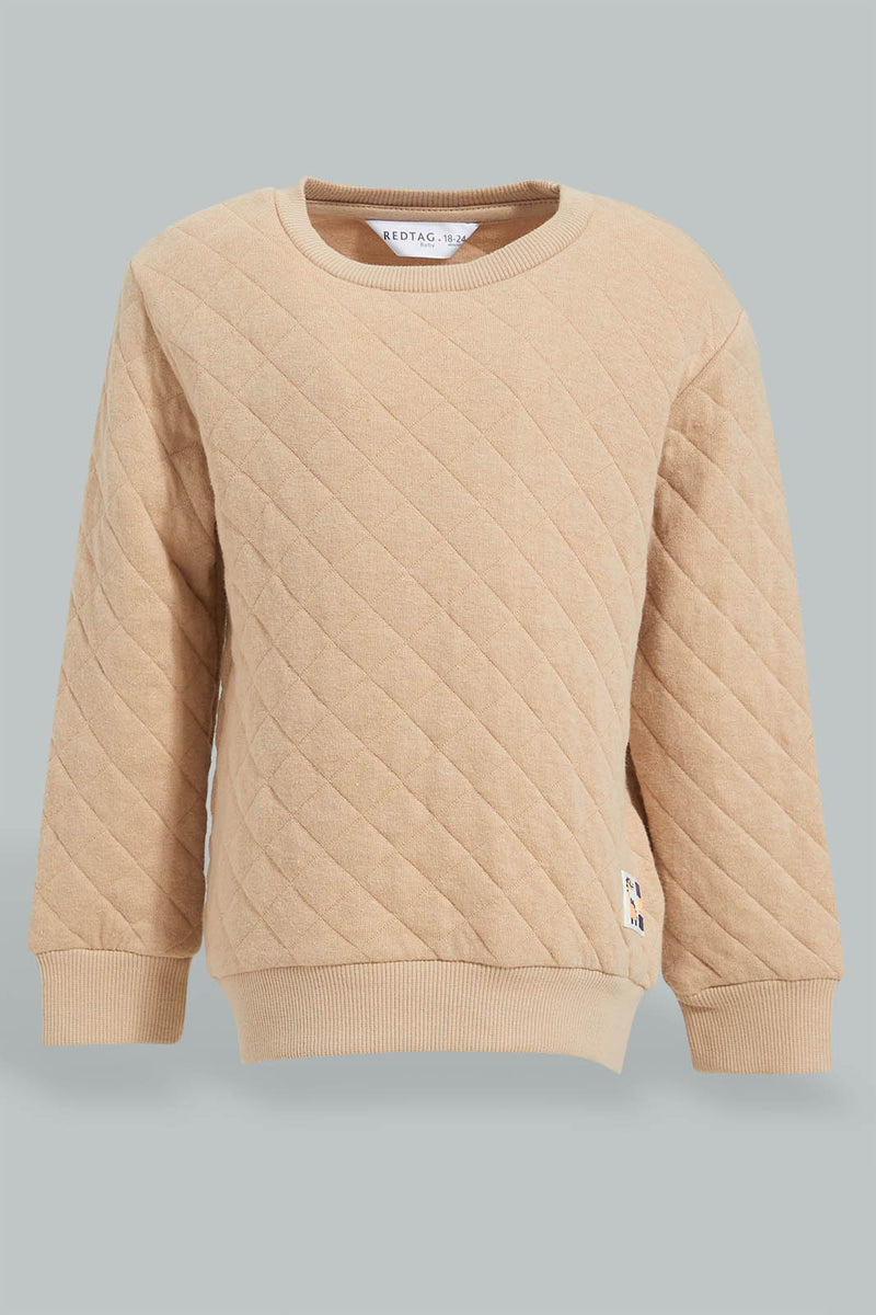 Redtag-Beige-Quilted-Sweatshirt-Sweatshirts-Infant-Boys-3 to 24 Months