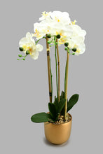 Load image into Gallery viewer, Redtag-Gold-Ceramic-Pot-With-Artificial-Orchid-Colour:Gold,-Filter:Home-Decor,-HMW-HOM-Plants-&amp;-Flowers,-New-In,-New-In-HMW-HOM,-Non-Sale,-S22A,-Section:Homewares-Home-Decor-
