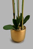 Redtag-Gold-Ceramic-Pot-With-Artificial-Orchid-Colour:Gold,-Filter:Home-Decor,-HMW-HOM-Plants-&-Flowers,-New-In,-New-In-HMW-HOM,-Non-Sale,-S22A,-Section:Homewares-Home-Decor-