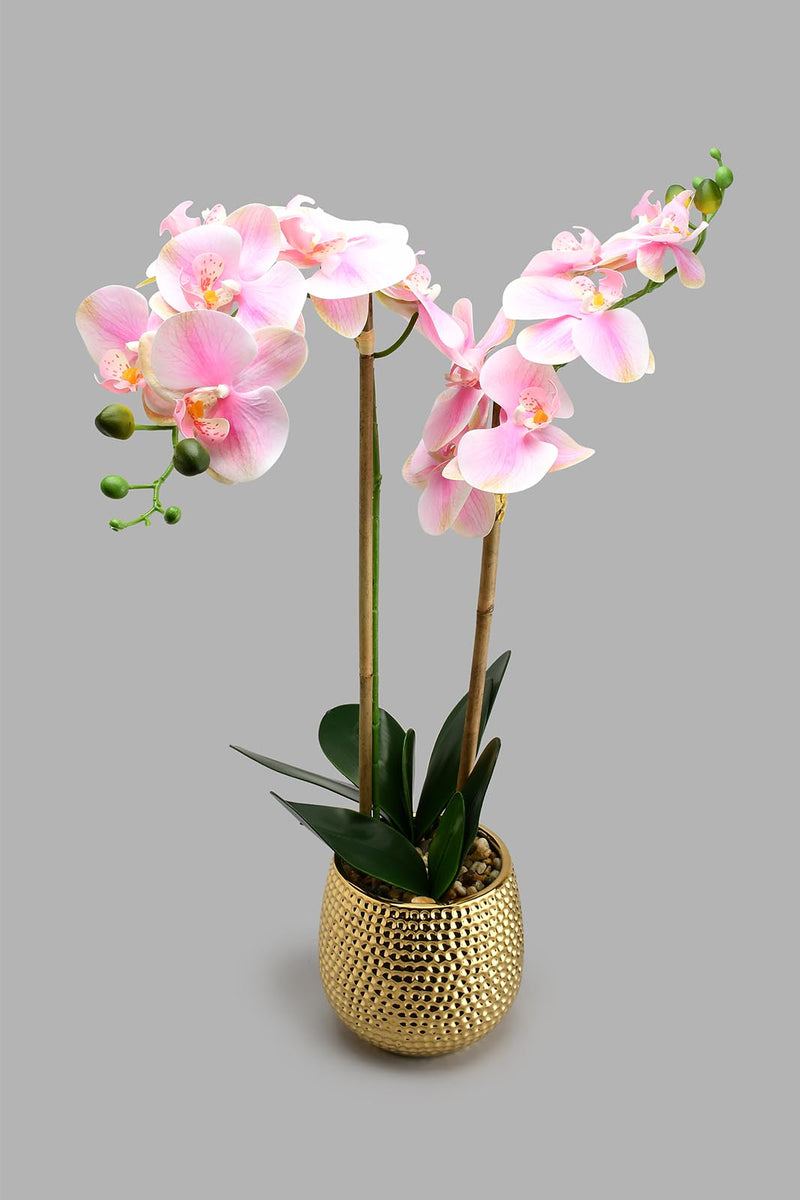 Redtag-Gold-Ceramic-Pot-With-Artificial-Pink-Orchid-Colour:Gold,-Filter:Home-Decor,-HMW-HOM-Plants-&-Flowers,-New-In,-New-In-HMW-HOM,-Non-Sale,-S22A,-Section:Homewares-Home-Decor-