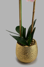 Load image into Gallery viewer, Redtag-Gold-Ceramic-Pot-With-Artificial-Pink-Orchid-Colour:Gold,-Filter:Home-Decor,-HMW-HOM-Plants-&amp;-Flowers,-New-In,-New-In-HMW-HOM,-Non-Sale,-S22A,-Section:Homewares-Home-Decor-
