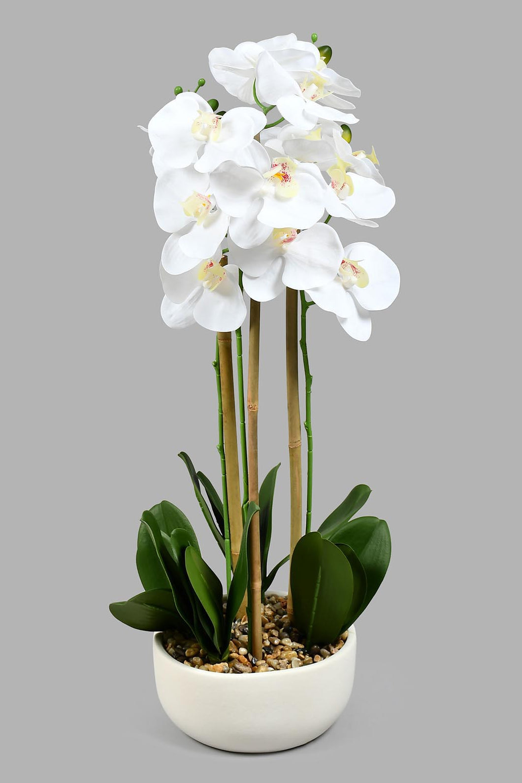 Redtag-White-Ceramic-Pot-With-Artificial-Orchid-Colour:White,-Filter:Home-Decor,-HMW-HOM-Plants-&-Flowers,-New-In,-New-In-HMW-HOM,-Non-Sale,-S22A,-Section:Homewares-Home-Decor-