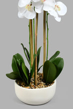 Load image into Gallery viewer, Redtag-White-Ceramic-Pot-With-Artificial-Orchid-Colour:White,-Filter:Home-Decor,-HMW-HOM-Plants-&amp;-Flowers,-New-In,-New-In-HMW-HOM,-Non-Sale,-S22A,-Section:Homewares-Home-Decor-
