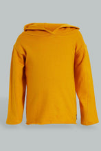 Load image into Gallery viewer, Redtag-Mustard-Hoody-Sweatshirts-Colour:Mustard,-Filter:Infant-Boys-(3-to-24-Mths),-Infant-Boys-Sweatshirts,-New-In,-New-In-INB,-Non-Sale,-S22A,-Section:Kidswear-Infant-Boys-3 to 24 Months

