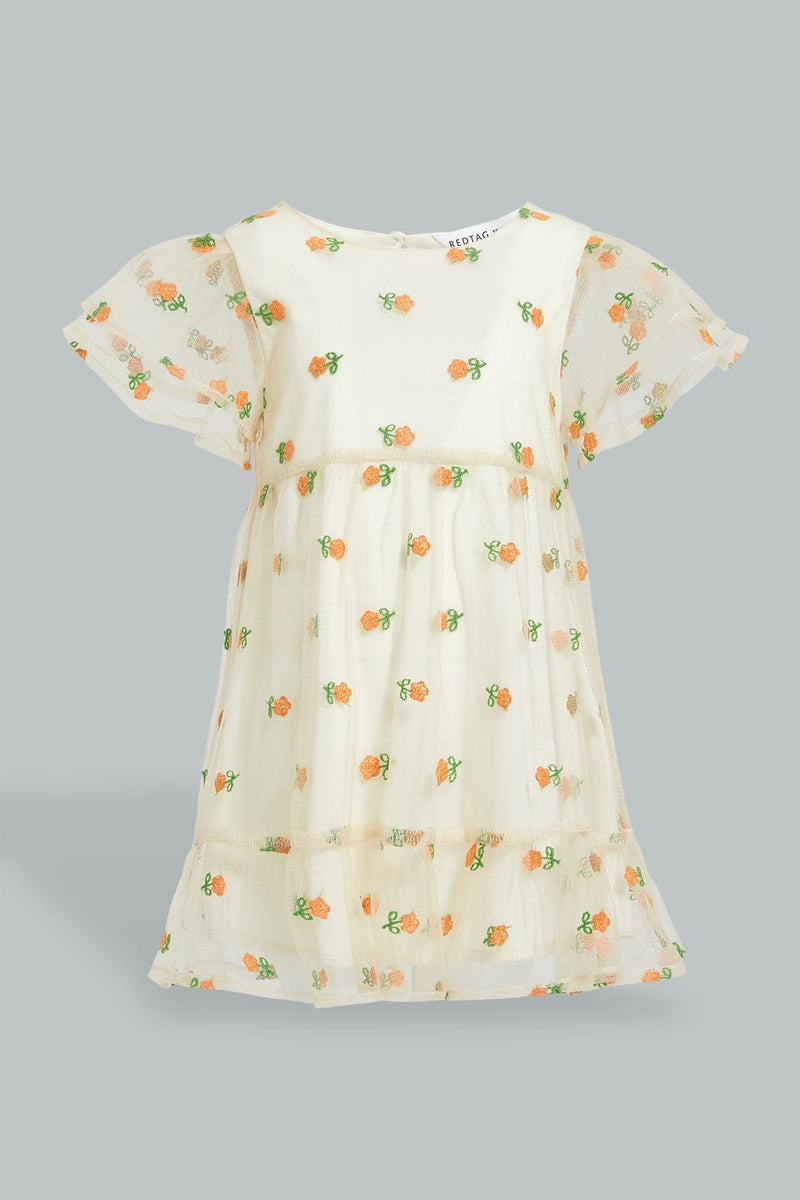 Redtag-Mesh-Printed-Butterfly-Sleeves-Dress-Dresses-Infant-Girls-3 to 24 Months