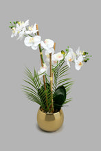 Load image into Gallery viewer, Redtag-White-Artificial-Orchids-In-Ceramic-Vase-Artificial-Plants-Home-Decor-
