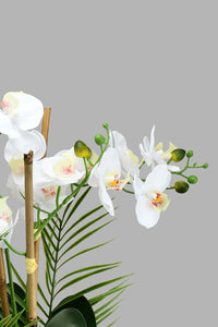 Redtag-White-Artificial-Orchids-In-Ceramic-Vase-Artificial-Plants-Home-Decor-