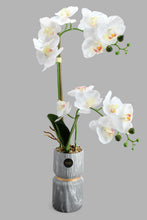 Load image into Gallery viewer, Redtag-Grey-Artificial-Orchids-In-Ceramic-Vase-Artificial-Plants-Home-Decor-
