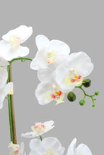 Load image into Gallery viewer, Redtag-Grey-Artificial-Orchids-In-Ceramic-Vase-Artificial-Plants-Home-Decor-
