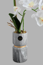 Load image into Gallery viewer, Redtag-Grey-Artificial-Orchids-In-Ceramic-Vase-Artificial-Plants-Home-Decor-
