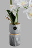 Redtag-Grey-Artificial-Orchids-In-Ceramic-Vase-Artificial-Plants-Home-Decor-