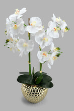 Load image into Gallery viewer, Redtag-Gold-Artificial-Orchids-In-Ceramic-Vase-Artificial-Plants-Home-Decor-
