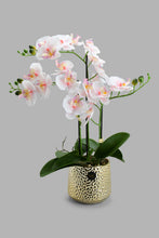 Load image into Gallery viewer, Redtag-Gold-Artificial-Orchids-In-Ceramic-Vase-Artificial-Plants-Home-Decor-
