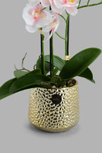 Load image into Gallery viewer, Redtag-Gold-Artificial-Orchids-In-Ceramic-Vase-Artificial-Plants-Home-Decor-
