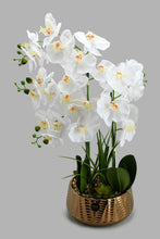 Load image into Gallery viewer, Redtag-Gold-Artificial-Orchids-In-Ceramic-Vase-Artificial-Plants-Home-Decor-
