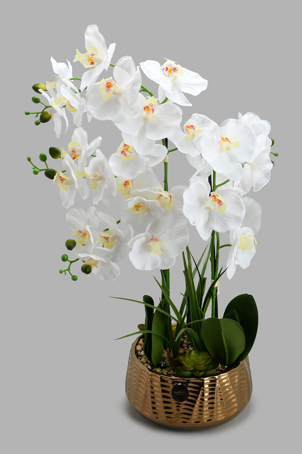 Redtag-Gold-Artificial-Orchids-In-Ceramic-Vase-Artificial-Plants-Home-Decor-