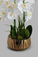 Load image into Gallery viewer, Redtag-Gold-Artificial-Orchids-In-Ceramic-Vase-Artificial-Plants-Home-Decor-
