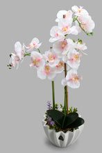 تنزيل الصورة على معرض الصور، Redtag-White-Artificial-Orchids-In-Ceramic-Vase-Artificial-Plants-Home-Decor-
